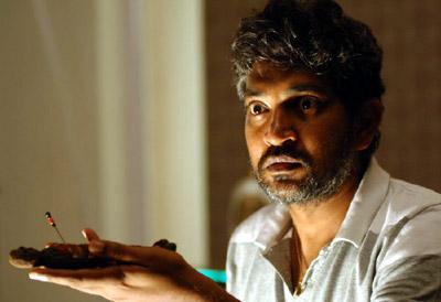 Tollywood's Best Director 2012