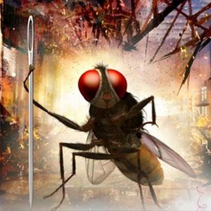 'Eega' Gets A Rare Honour!