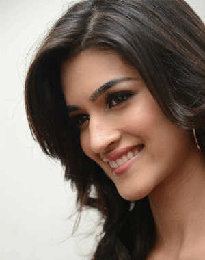 Mahesh's Heroine with Two Mega Heroes?