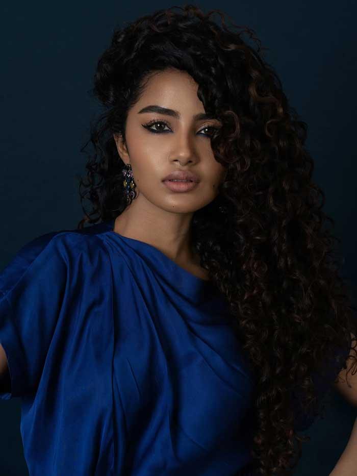 Anupama Parameswaran files complaint against 20 year old
