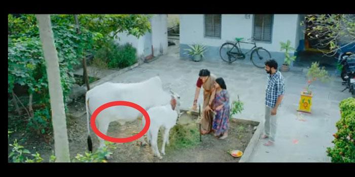 Review of Boyapati's TDP Ads