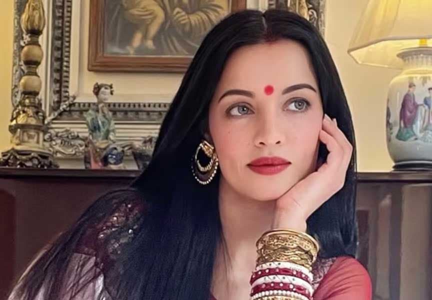 Delhi HC directs MEA regarding Celina Jaitly brother