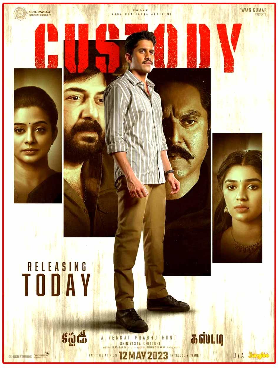 Custody Movie Review
