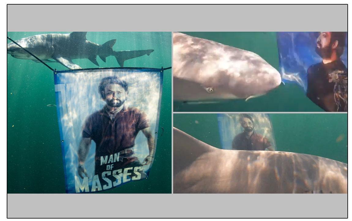 NTR Fans Unleash Devara Pic In The Midst Of Sharks