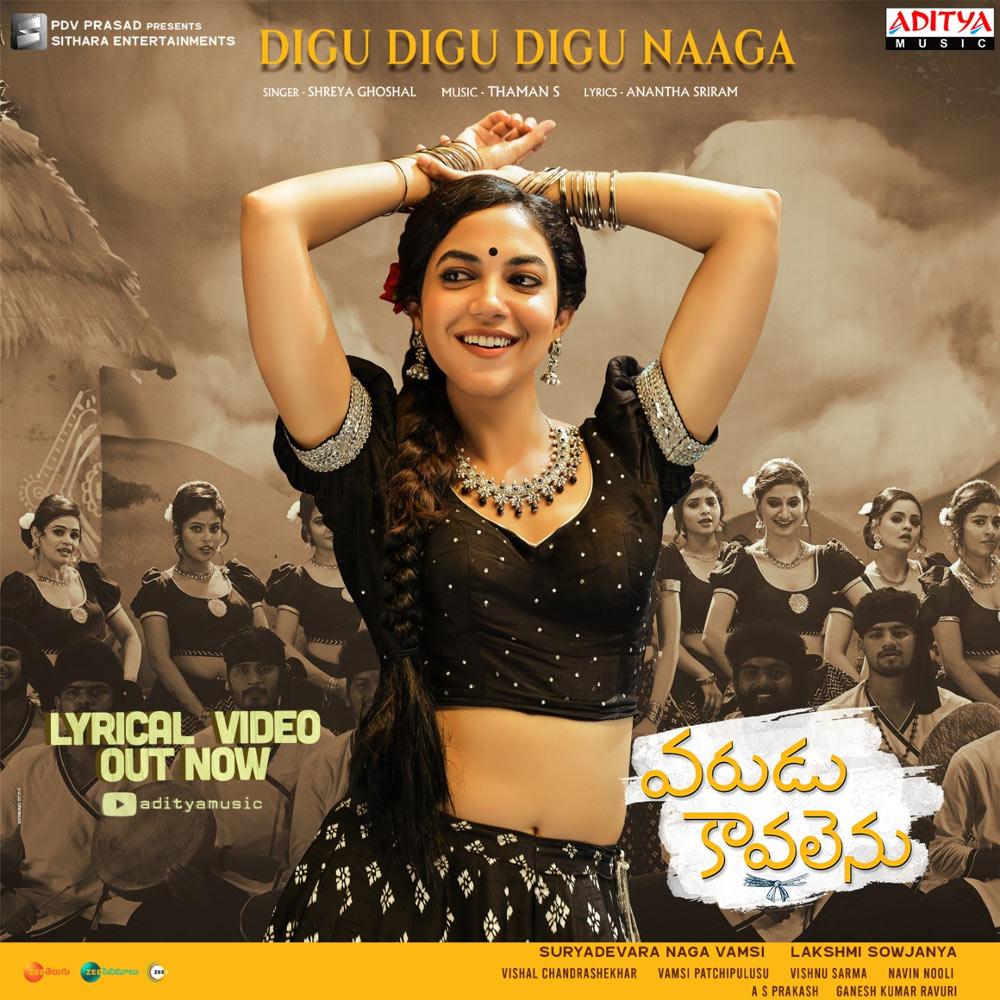 Digu Digu Naaga from Varudu Kaavalenu dazzles