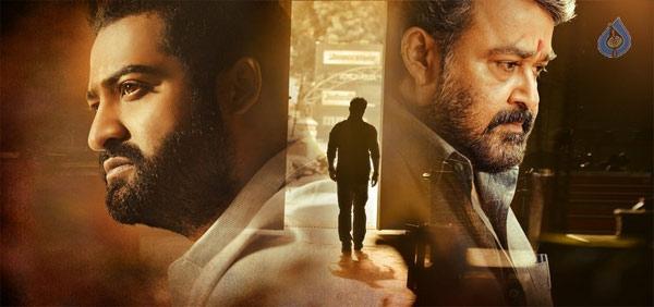 NTR Fans Are So Happy!