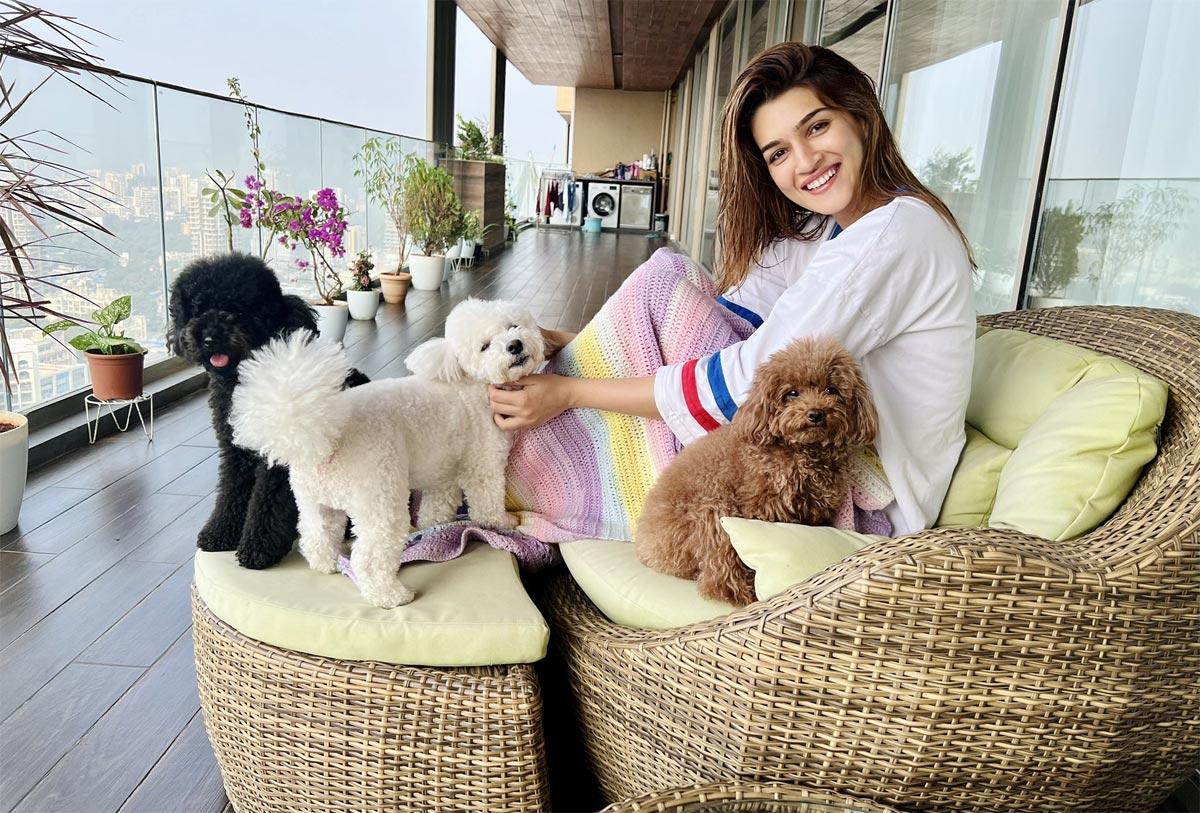 Kriti Sanon changed looks secrets