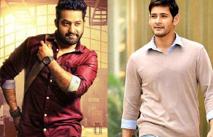 Wanted Mahesh-NTR Multistarrer in SSR Combo!