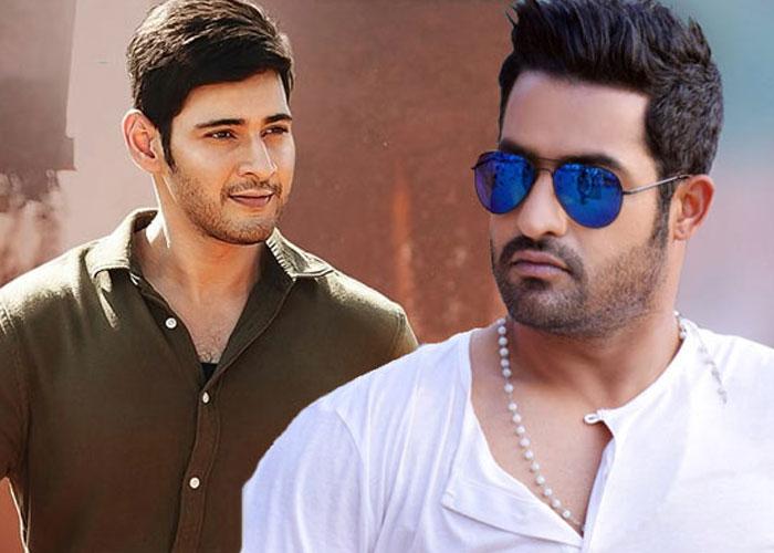 Mahesh, NTR Same Roles, Same Backdrop?