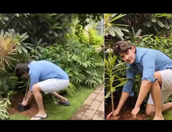 Officials To Fine Mahesh Babu!