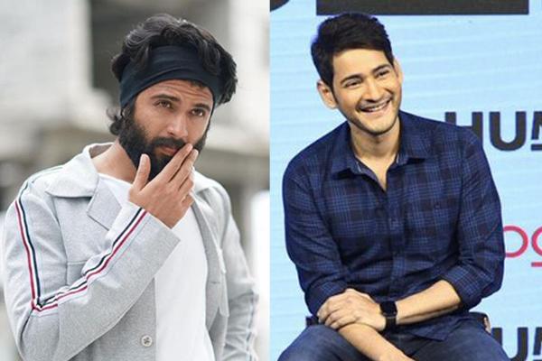 Mahesh Humbl vs Devarakonda Rowdy