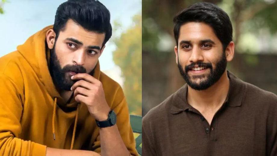 Naga Chaitanya, Varun Tej in a crazy multi starrer?