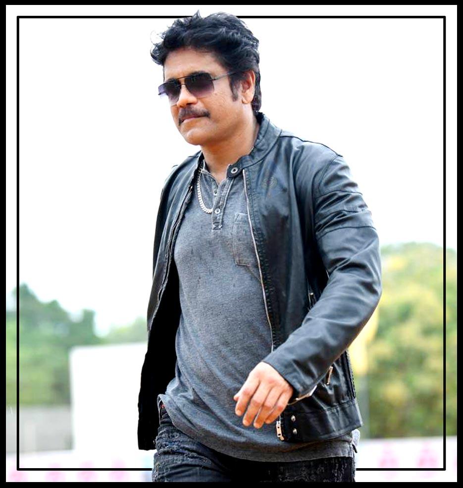Nagarjuna again taking risk and surprising all