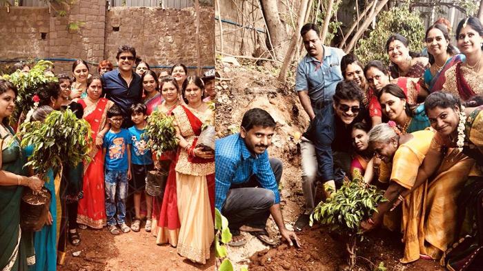 Nagarjuna Challenges His Kodalu