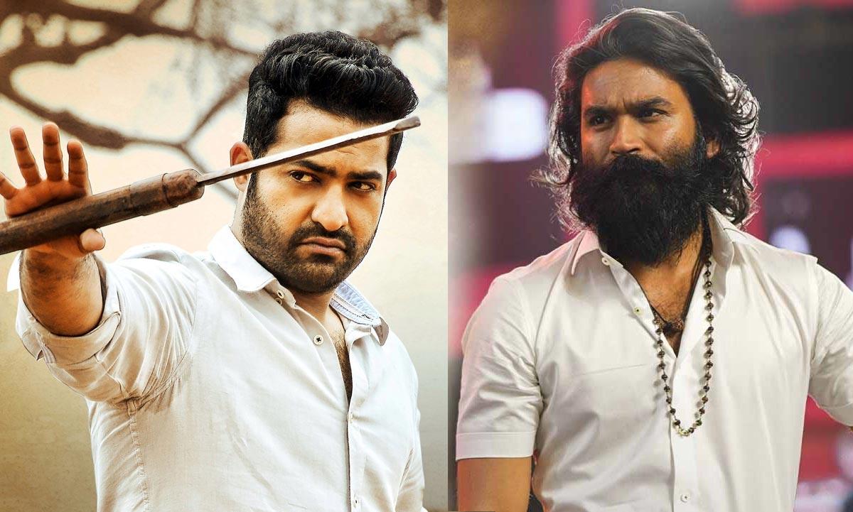 NTR-Dhanush multistarrer on cards