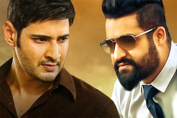 Director Rejects Mahesh, Picks NTR