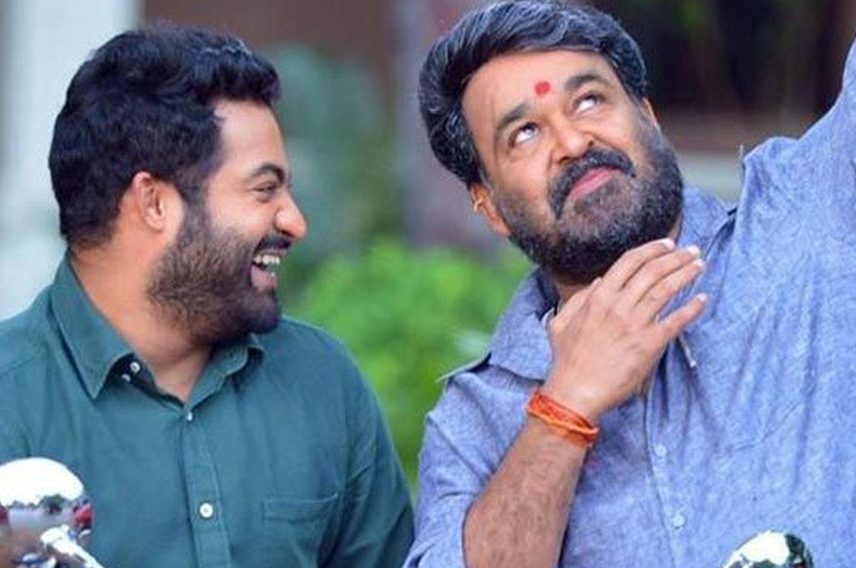 Mohan Lal For The Second Time With NTR