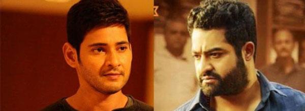 NTR Should Learn from Mahesh?