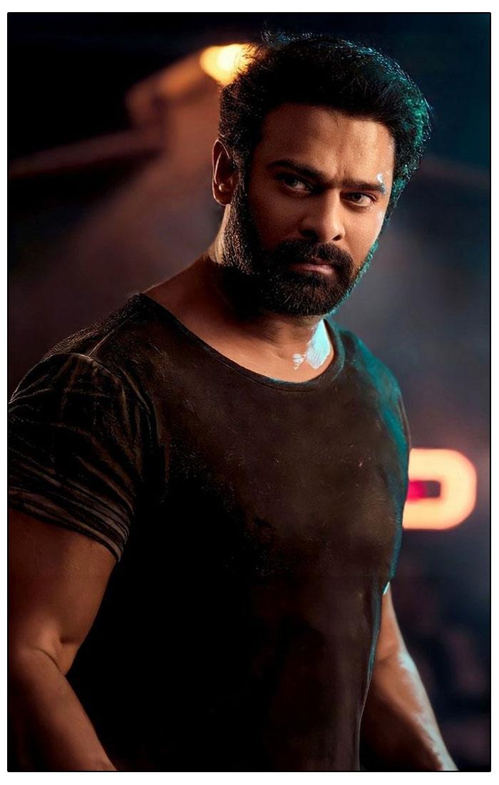 Prabhas To Stun With Wild Avatar In Spirit