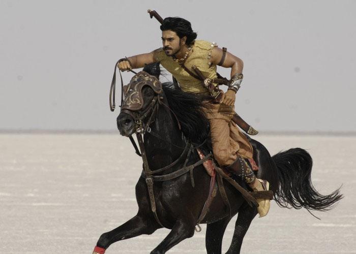 Charan Horse Ride for Sure!