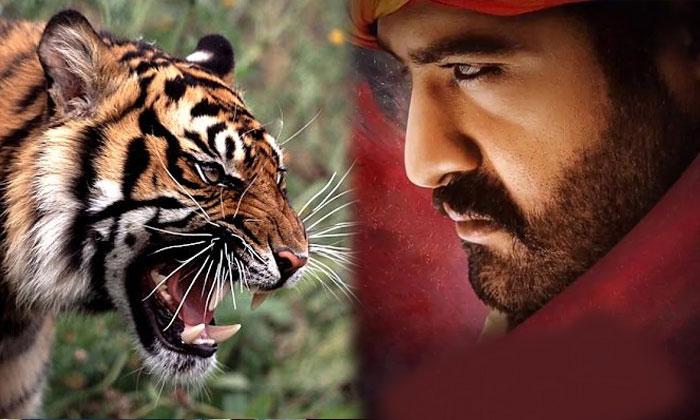 RRR: NTR Has Extraordinary Fight! But Charan Doesn't?