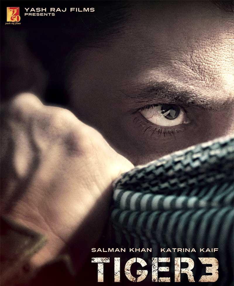 Salman Khan's Tiger 3 final leg shoot from Feb