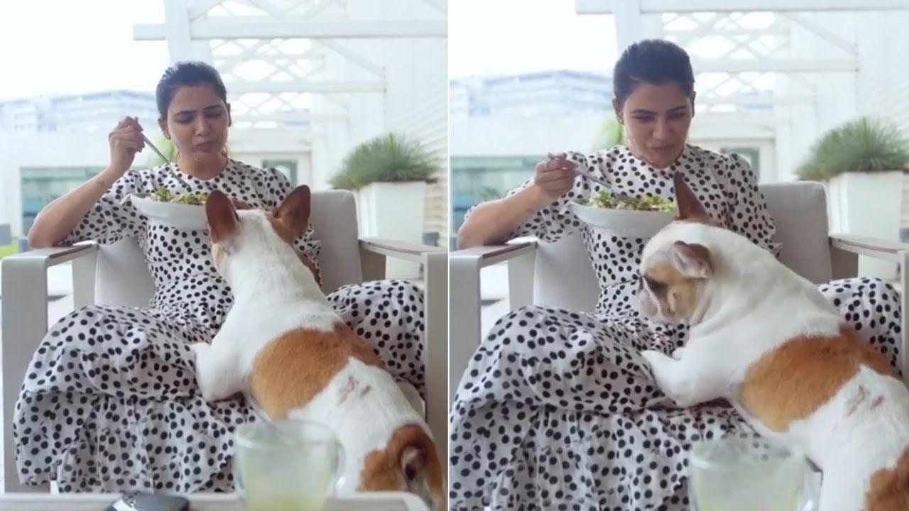 What is Samantha doing with a dog?