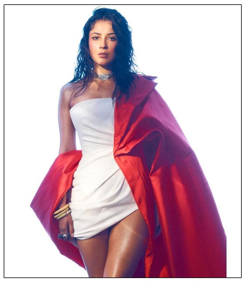 Shehnaaz Gill Sizzles In Latest Photoshoot