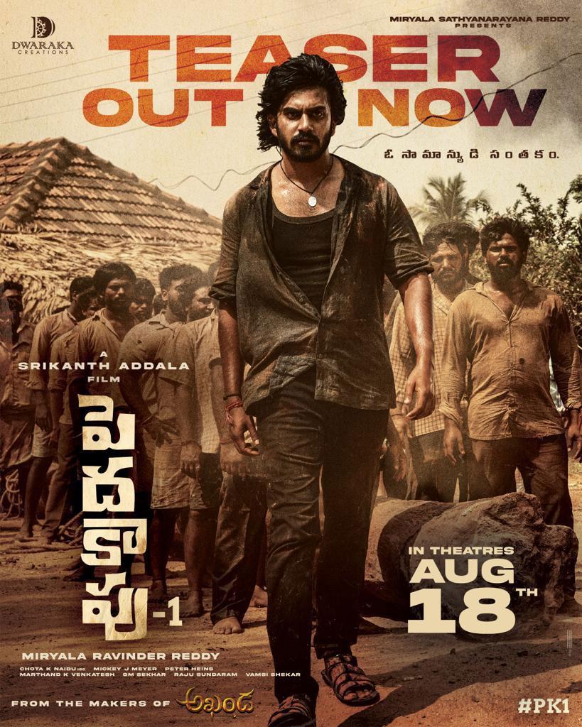 Peddha Kapu-1 Teaser Review
