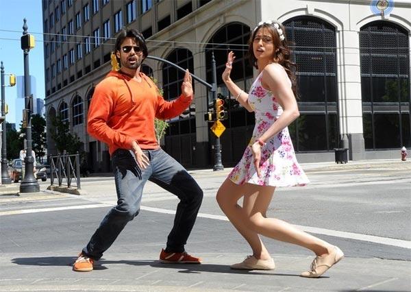 Bunny or Cherry to 'Subramanyam' Show!