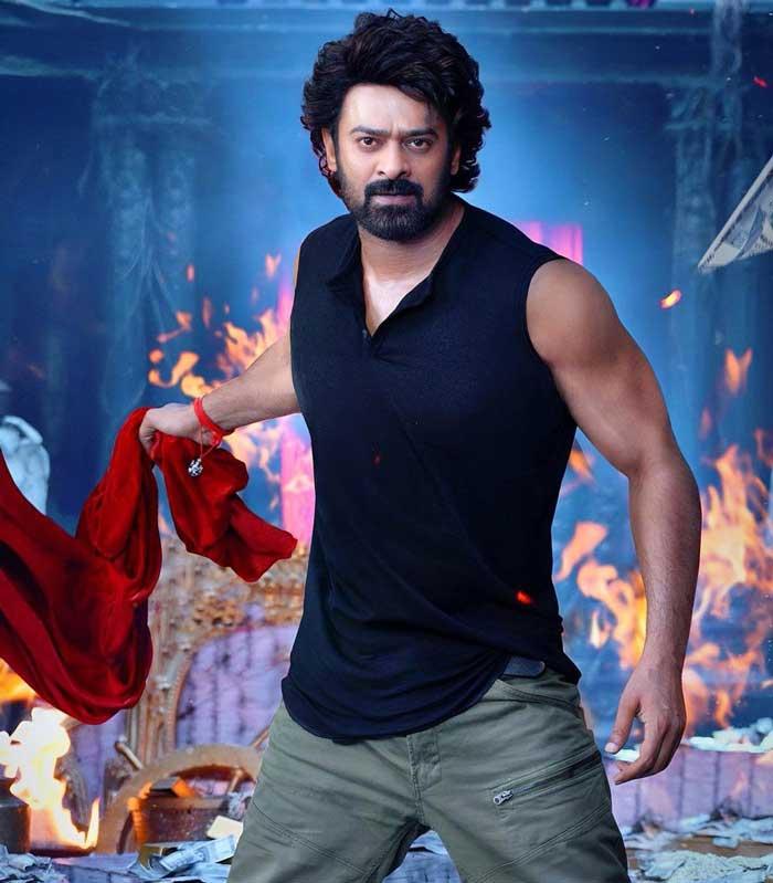 Fans Ecstatic With Maruthi's Words About Raja Saab