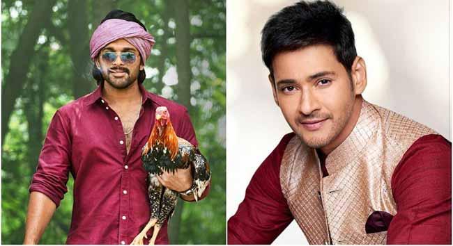 500 Cr Betting On Sankranthi Outings