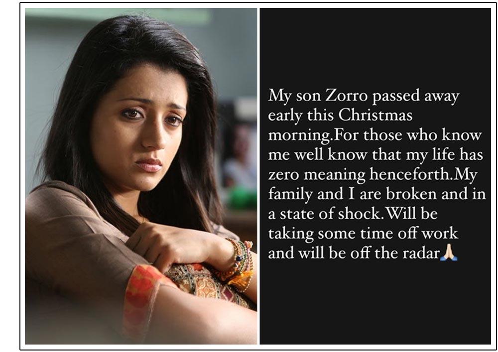 Trisha Mourns The Death Of Her Dog