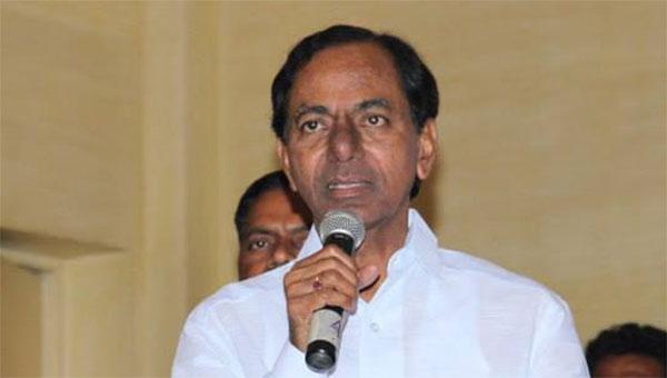 TS Govt will promote agriculture sector: KCR