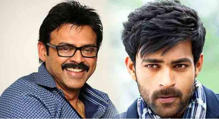 Venky and Varun Heroines Confirmed