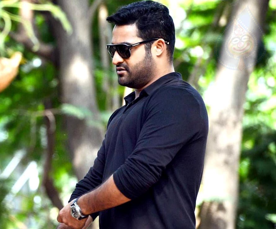 Which beauty can satisfy NTR