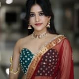 Nabha Natesh Photos