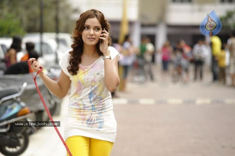 CineJosh gallery photo