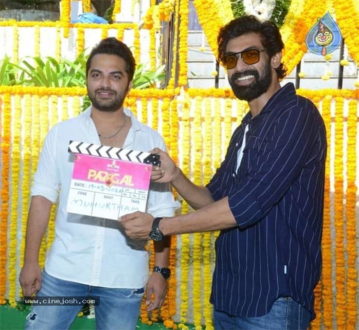 CineJosh gallery photo