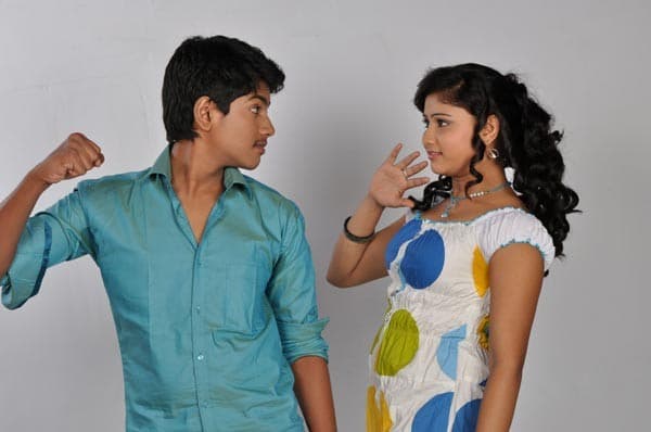 CineJosh gallery photo