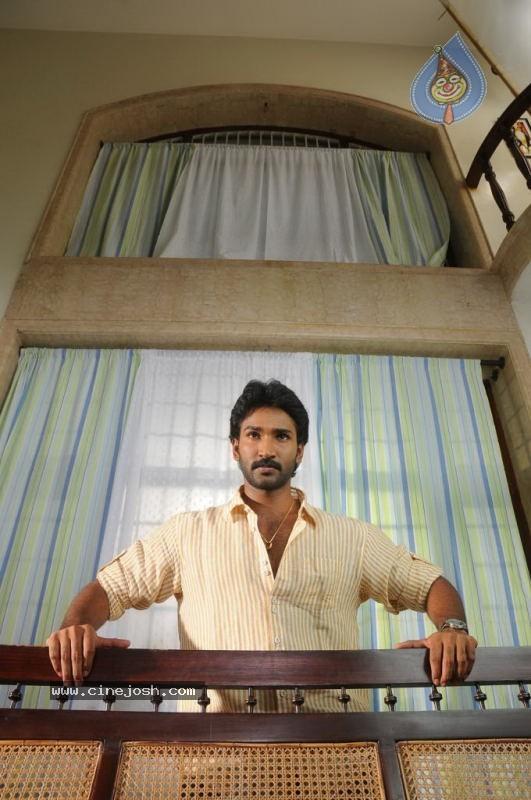 CineJosh gallery photo