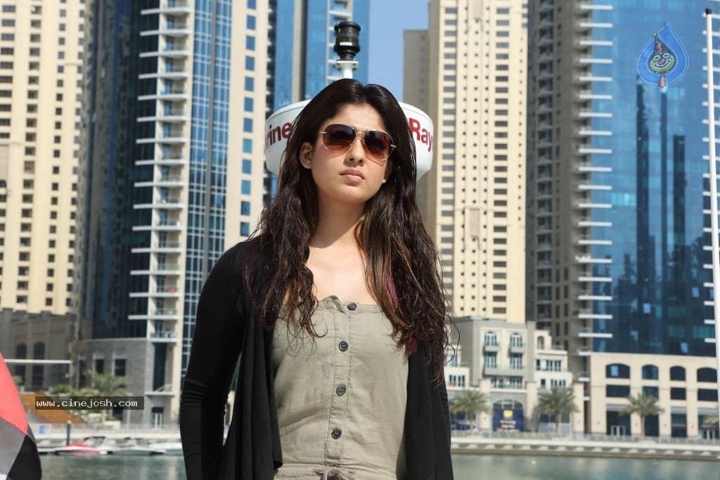 CineJosh gallery photo