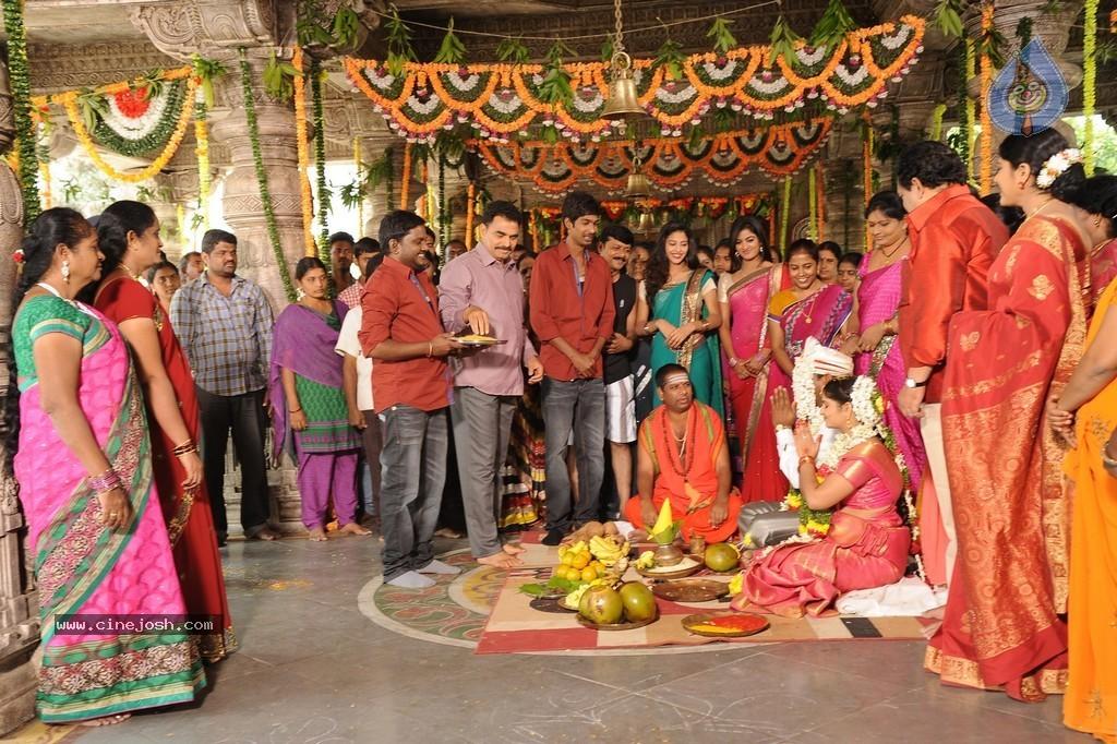 CineJosh gallery photo