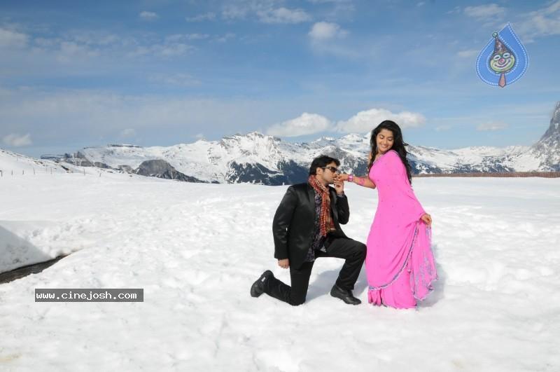 CineJosh gallery photo