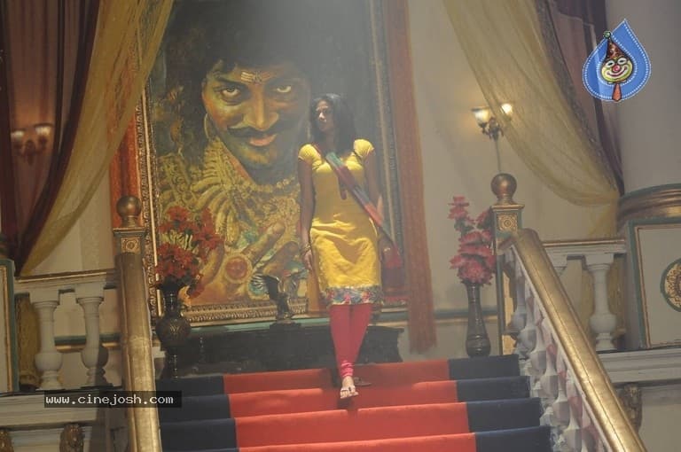 CineJosh gallery photo