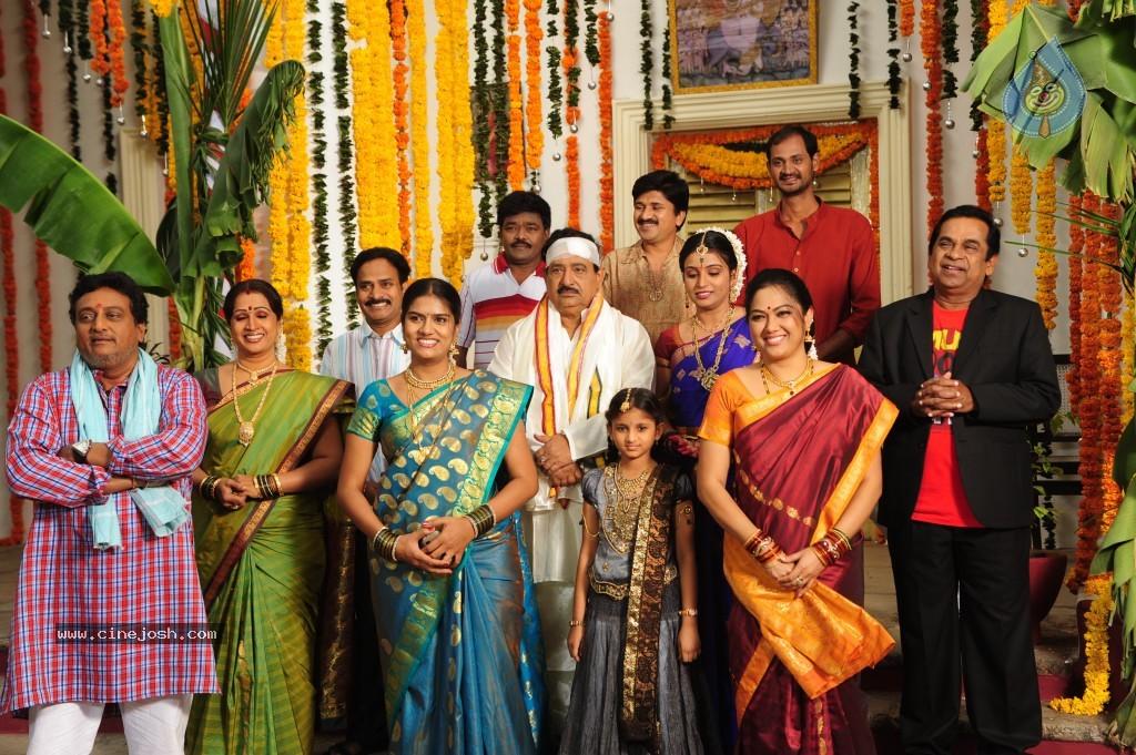 CineJosh gallery photo