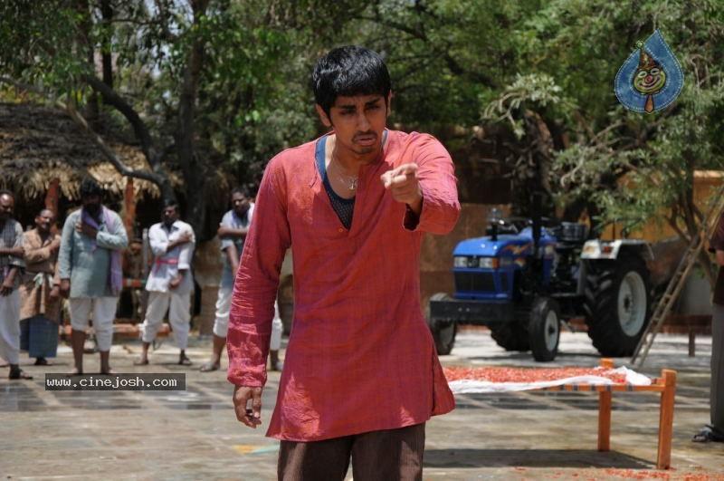 CineJosh gallery photo