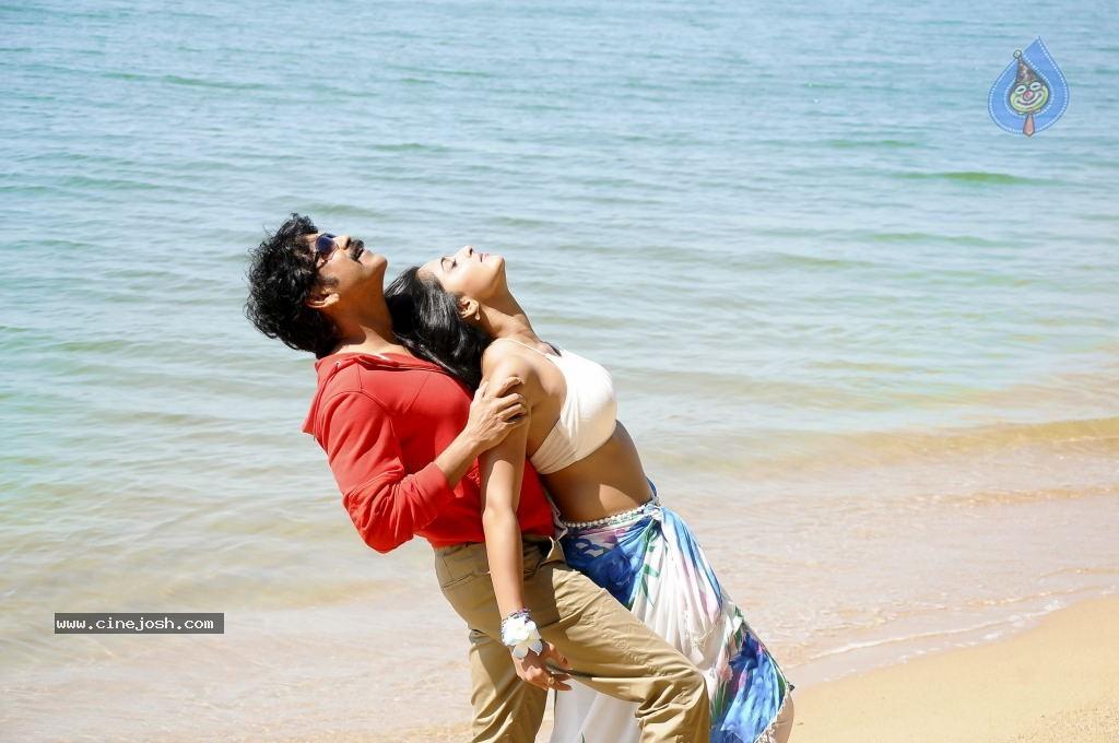 CineJosh gallery photo