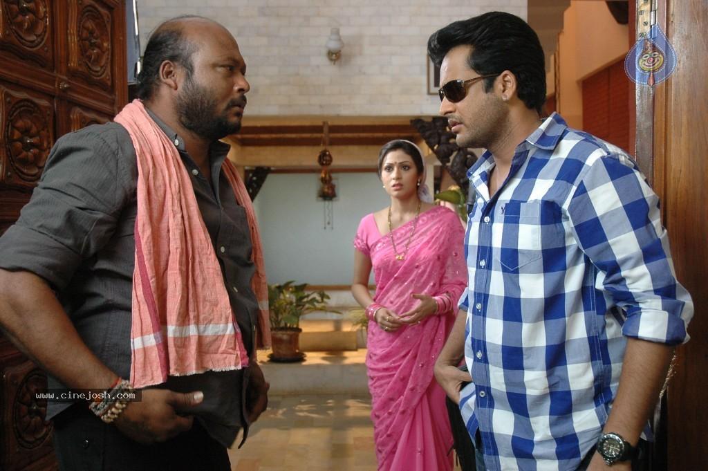 CineJosh gallery photo