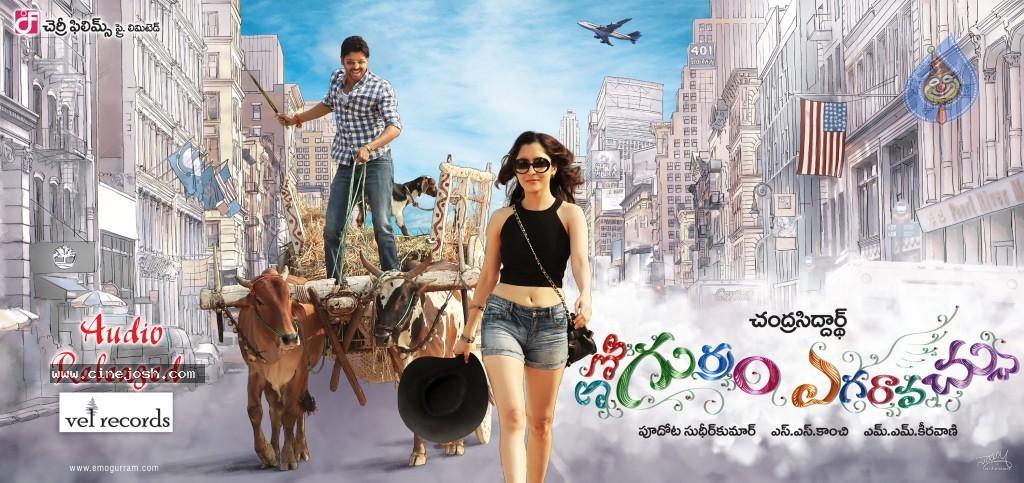 CineJosh gallery photo